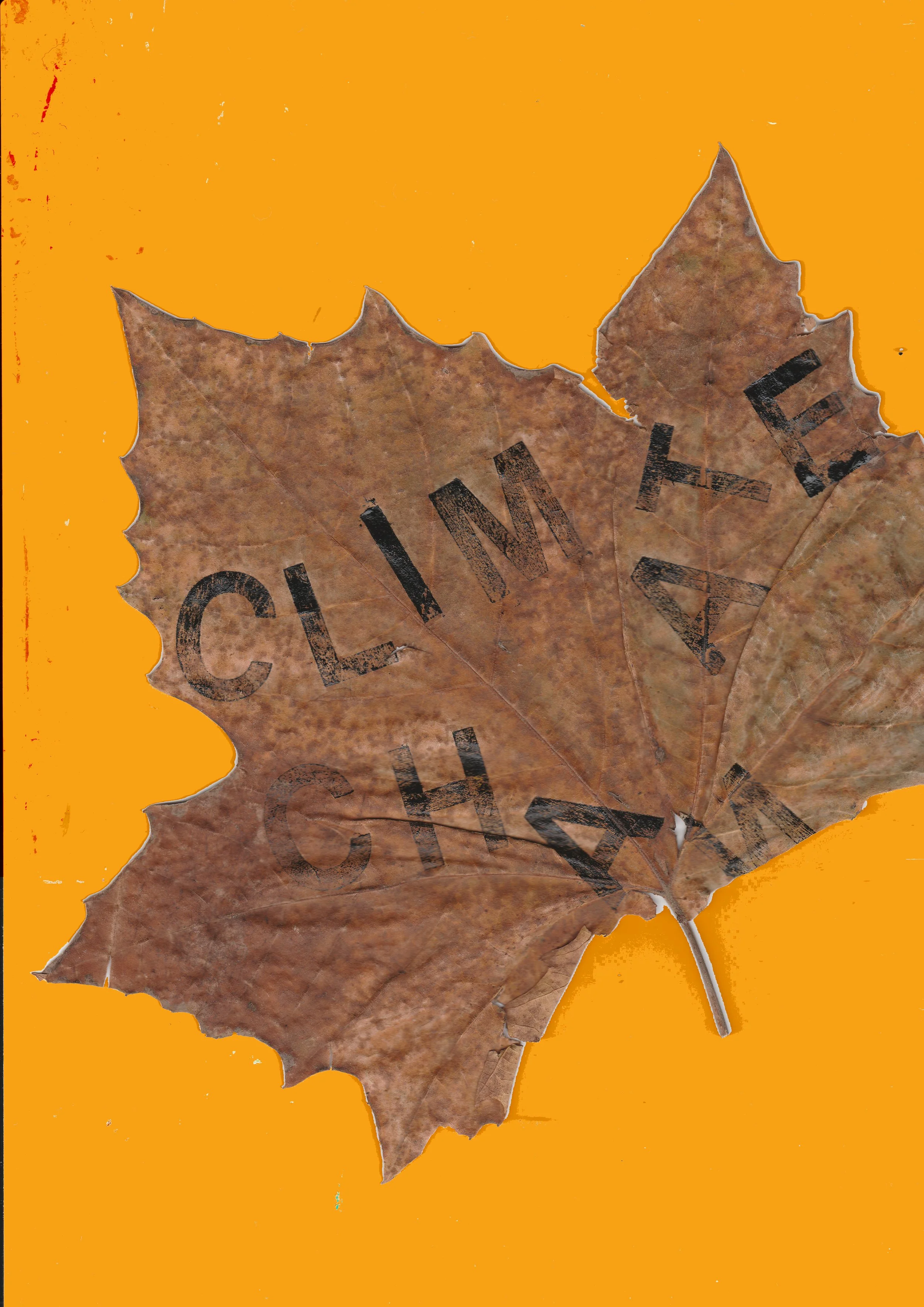 Climate Change 1.jpg