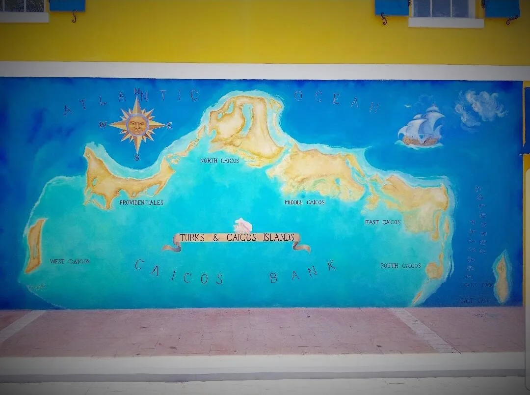 Title image About TCI.jpg