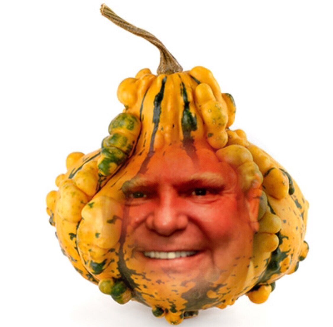 Premier Doug Gourd