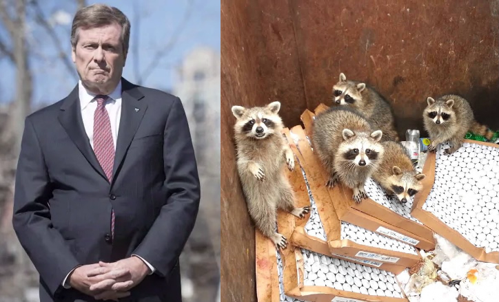 John Tory Evicts Family Of Raccoons From The Dumpster Behind His Condo Building