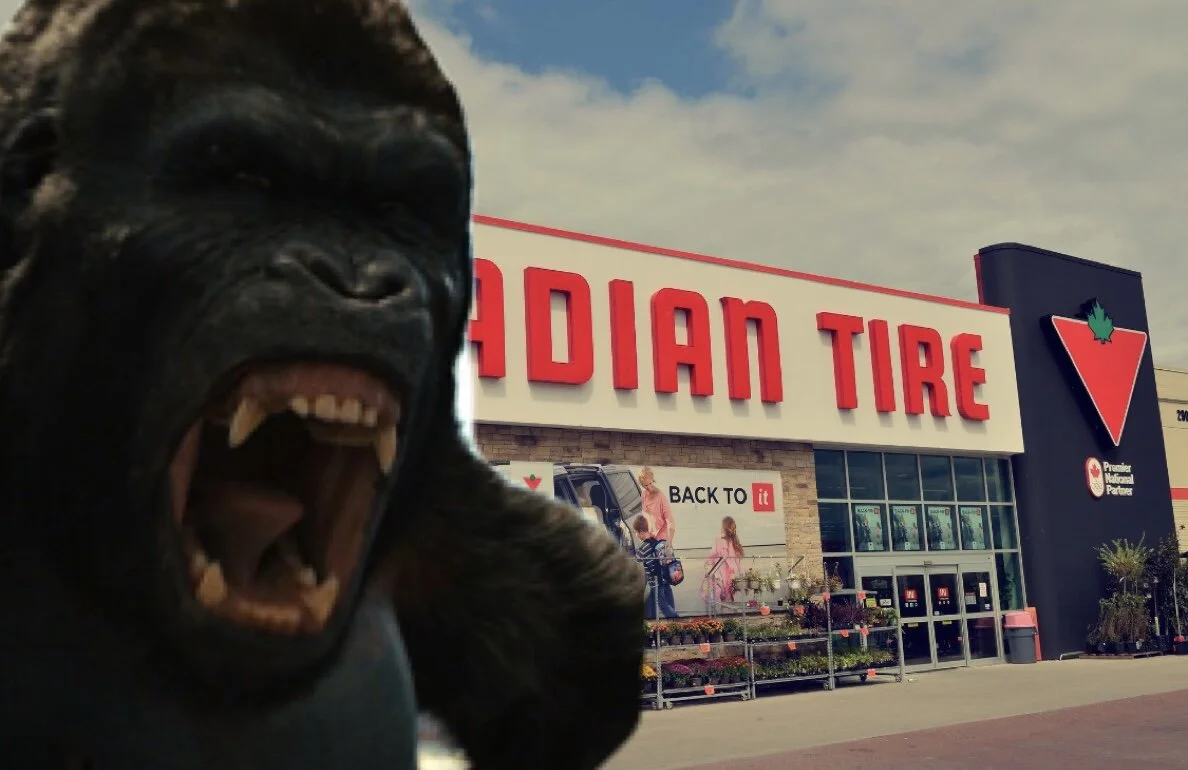 3 Dead, 9 Injured After Ford’s 800lb Gorilla Squadron Raids Canadian Tire