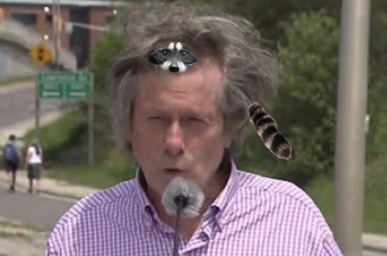 John Tory Lockdown Hair Revealed To Actually Be Raccoon