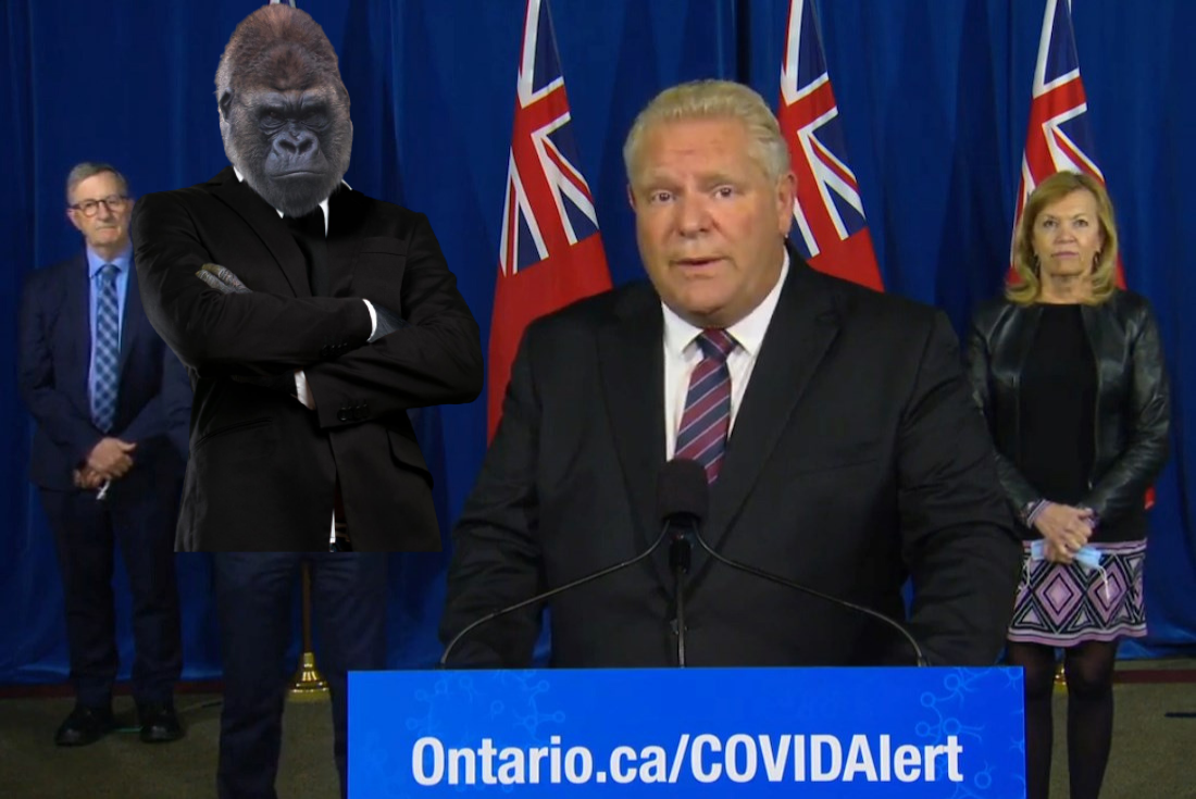 Ford Replaces Minister Of Long Term Care With 800lb Gorilla