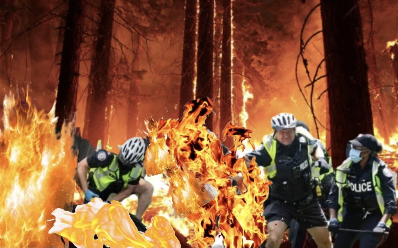 Toronto Police Deployed To Remove Forest Fires Squatting In Public Park