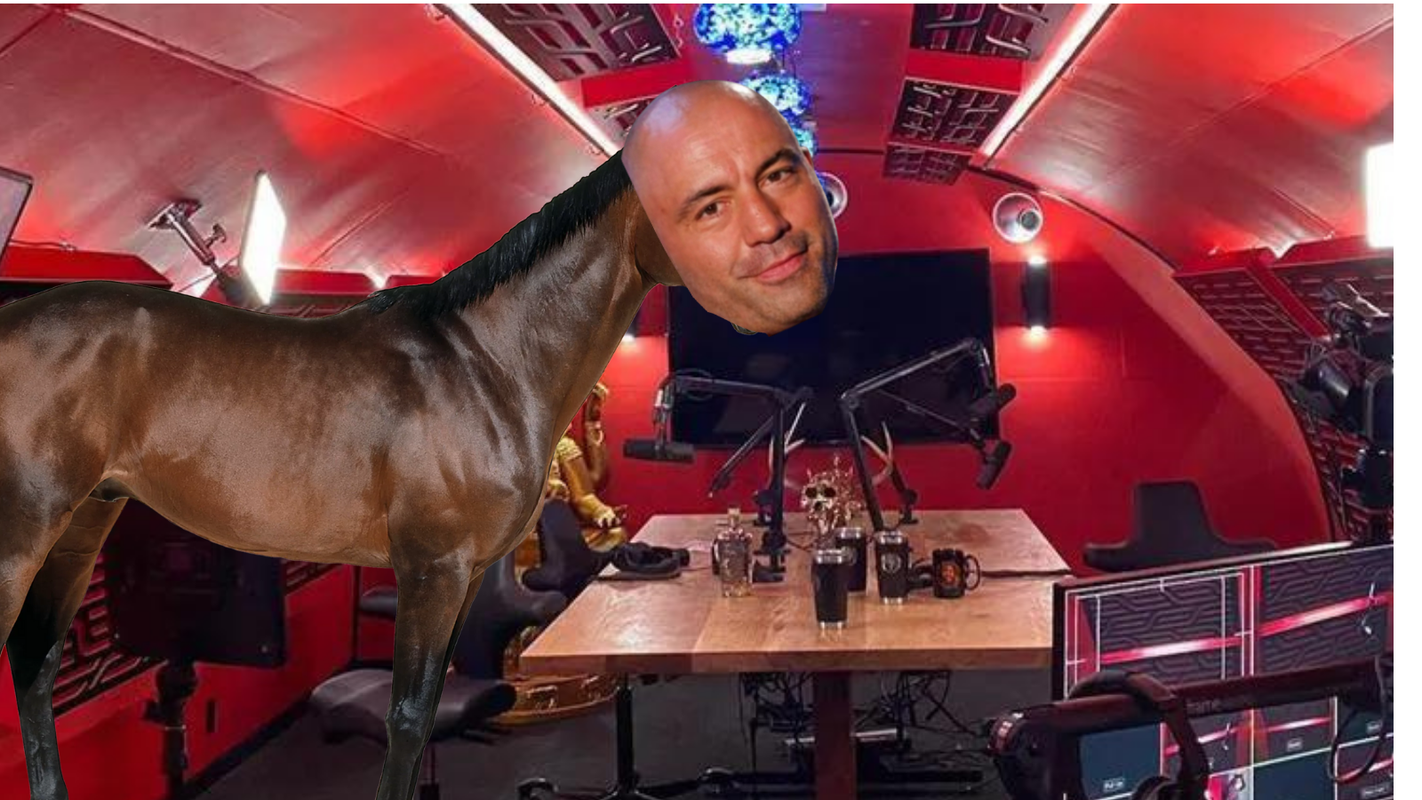 Joe Rogan Makes Full Recovery From COVID-19