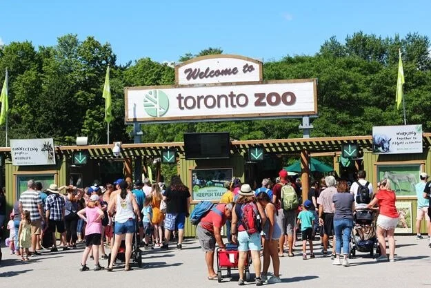 Toronto Zoo To Require Proof Of Vaccination For All Zoo Animals Starting Oct 25