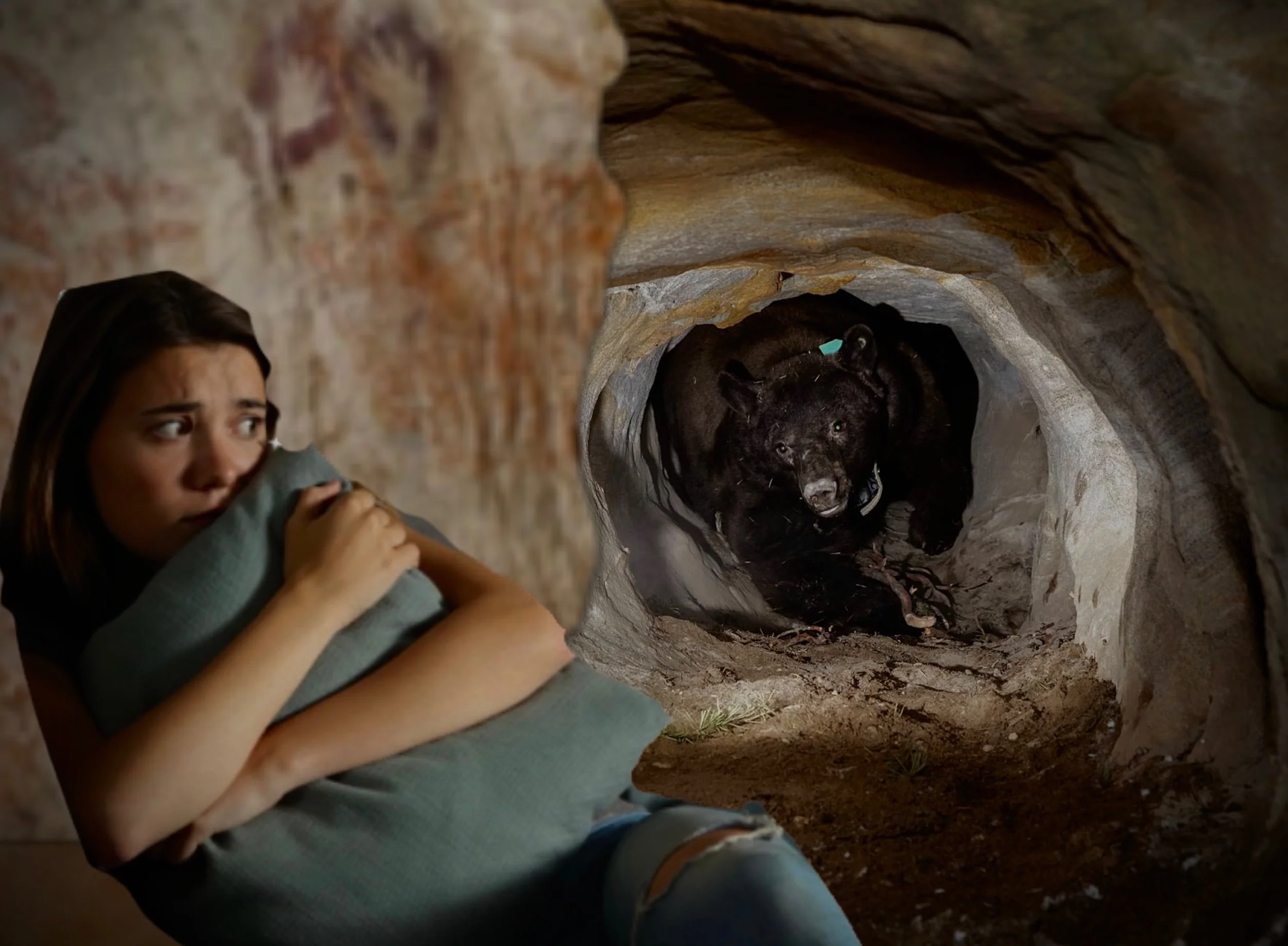 This Ontario Getaway Lets You Spend A Night In A Cave With A Live Bear