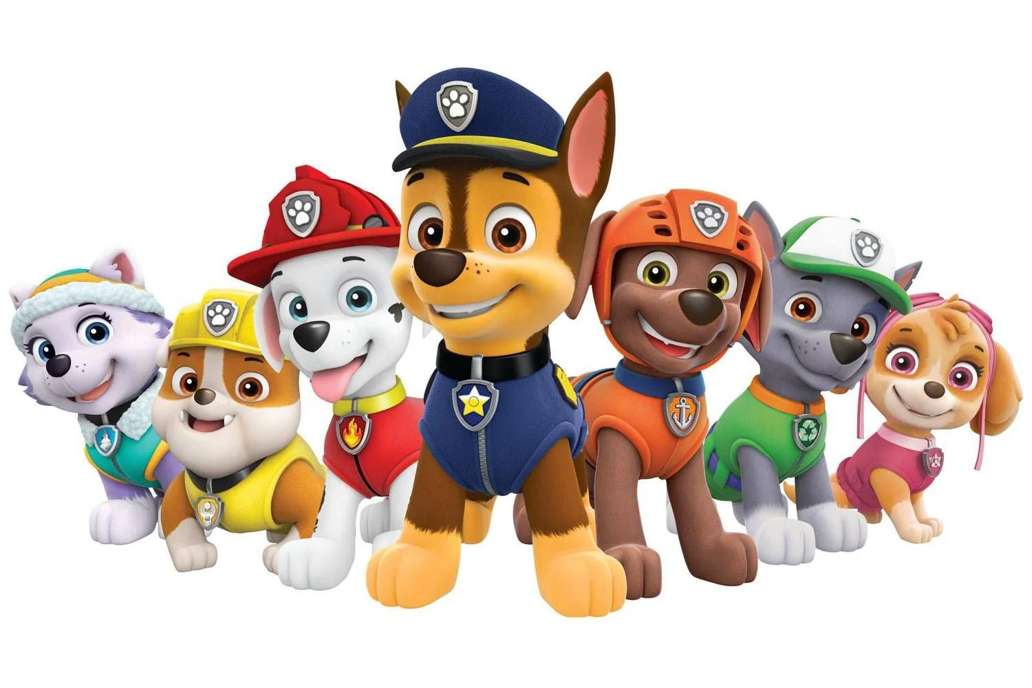 4 Members Of Paw Patrol Put On Unpaid Leave For Refusing Vaccine