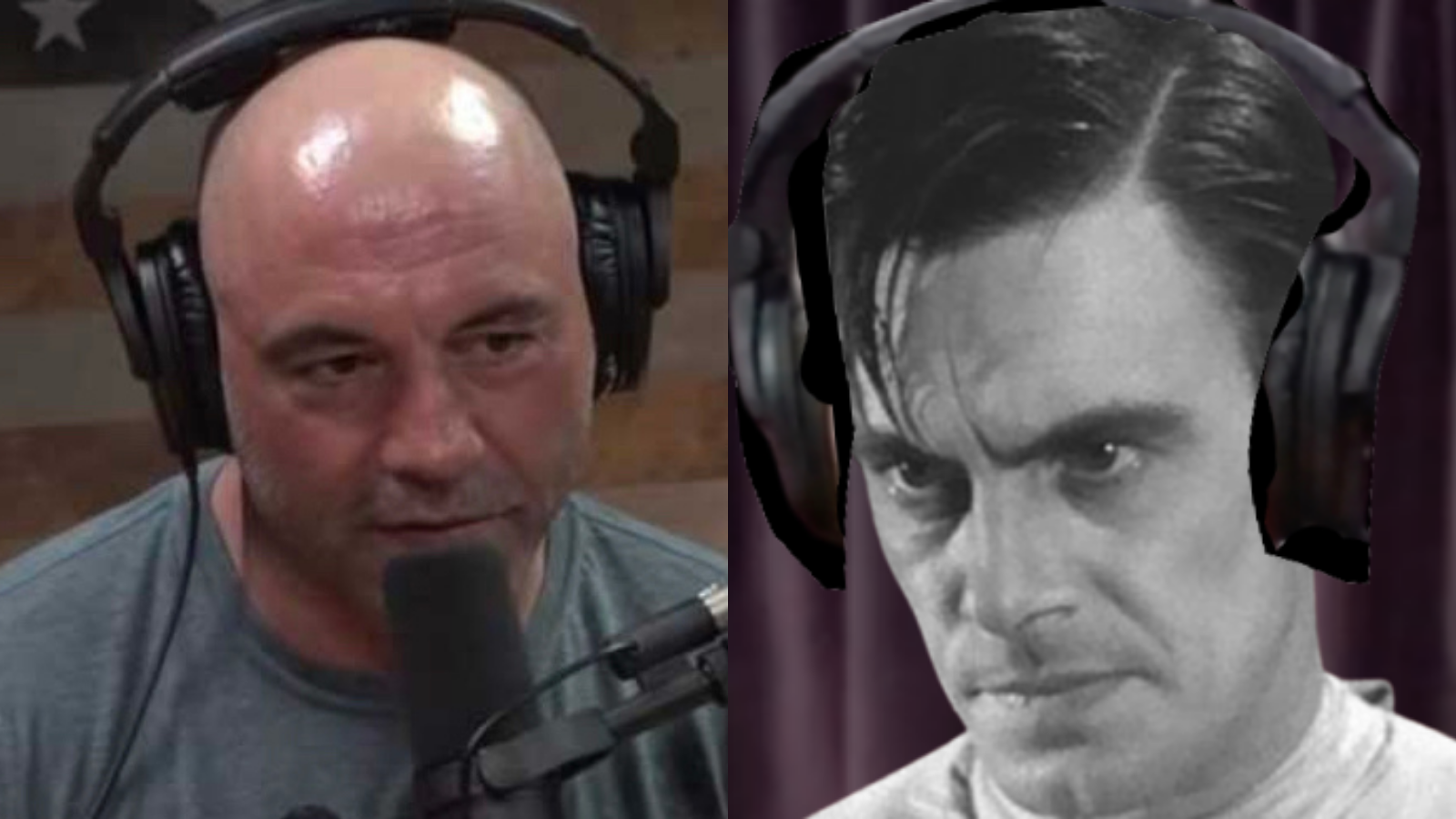 Joe Rogan Interviews Dr. Frankenstein Extolling Benefits Of Graverobbing