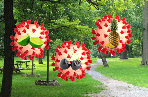 Covid Unveils Three Refreshing New Flavours Just In Time For Summer