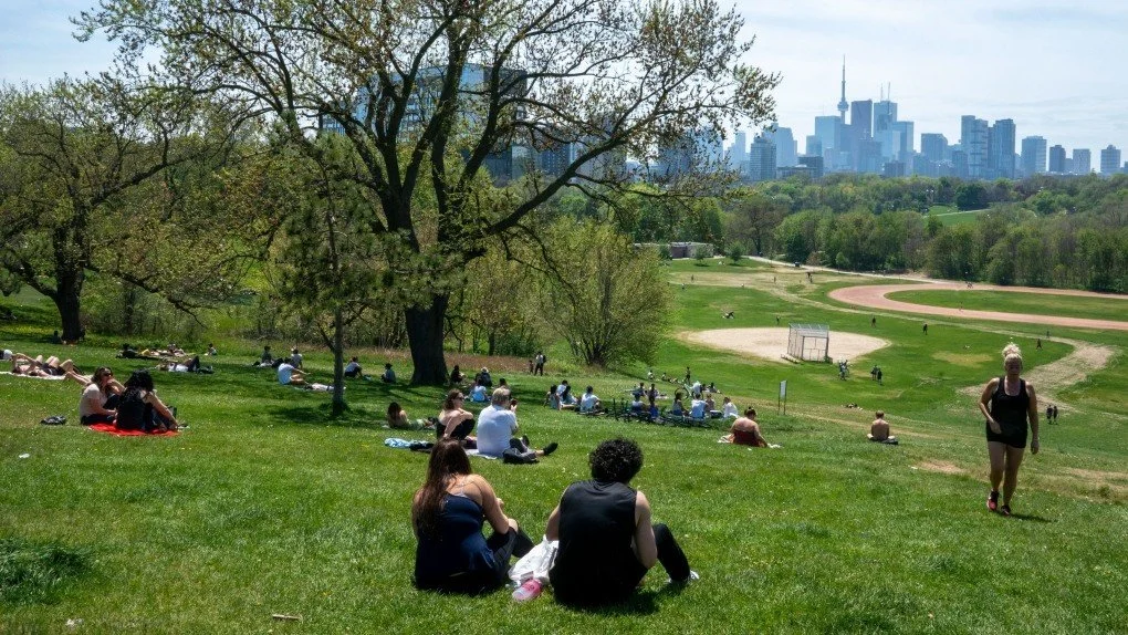 Toronto Crime Rates Up 800% After City Votes Against Legalized Park Beers
