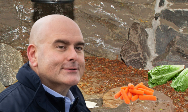 Steven Del Duca Caught Expensing $50,000 In Lettuce And Baby Carrots To His Enclosure
