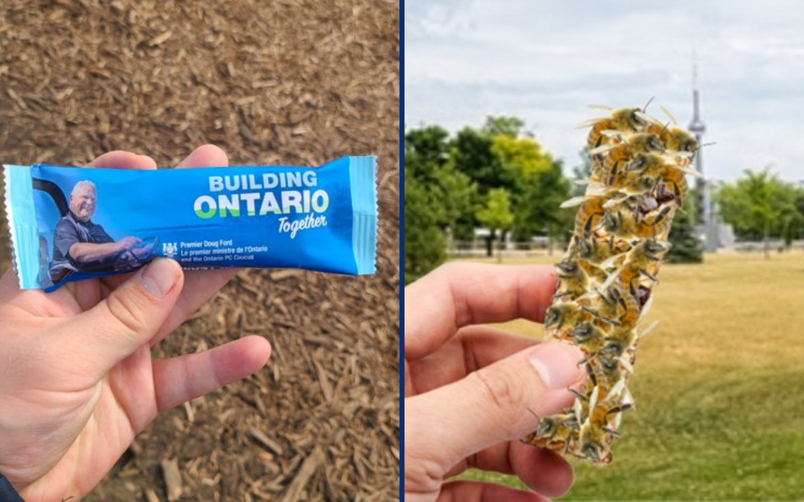 Doug Ford Is Handing Out Granola Bars Made Of 100% Ontario-Grown Bees