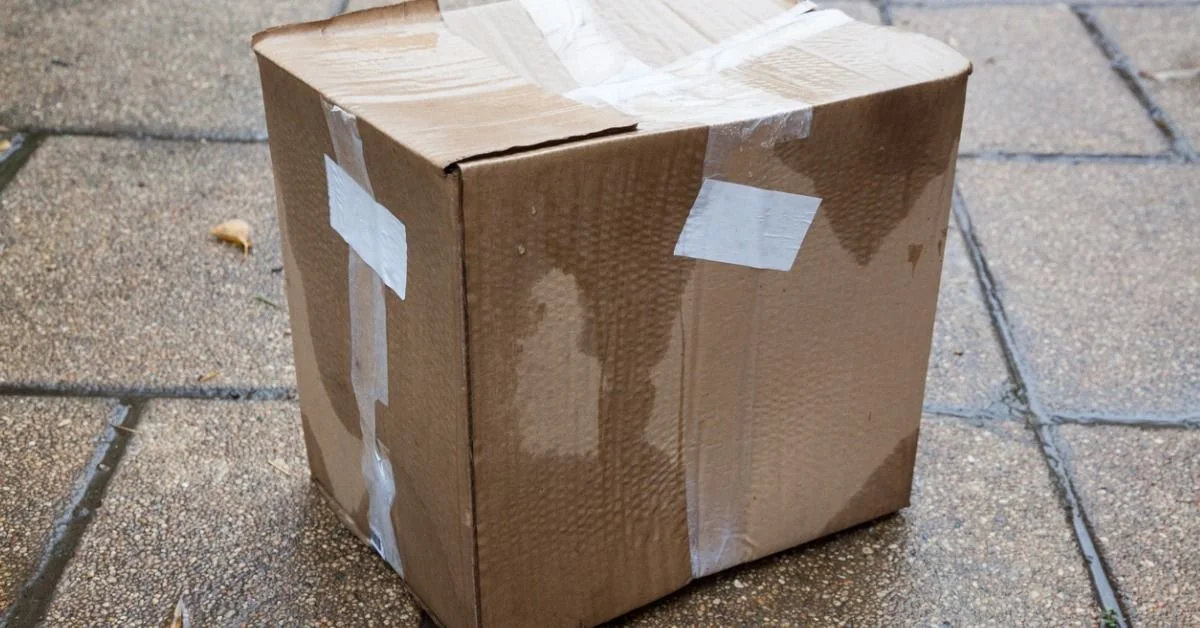 Moist Cardboard Box Takes Lead In Latest Toronto Mayoral Poll