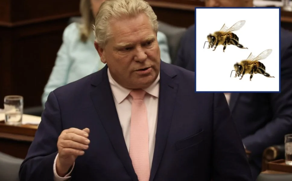 Ford Says Next Toronto Mayor Will Need To Eat At Least Two Bees Or City Is “Toast“