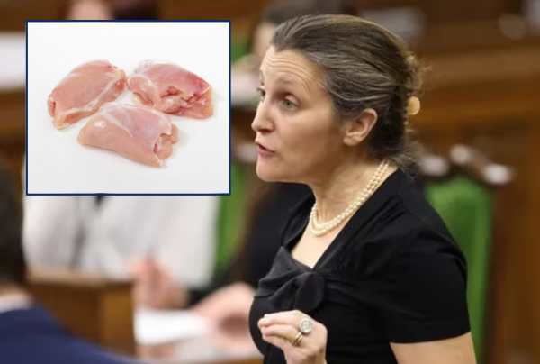 Federal Budget Includes One Pound Of Chicken Thighs For Every Canadian