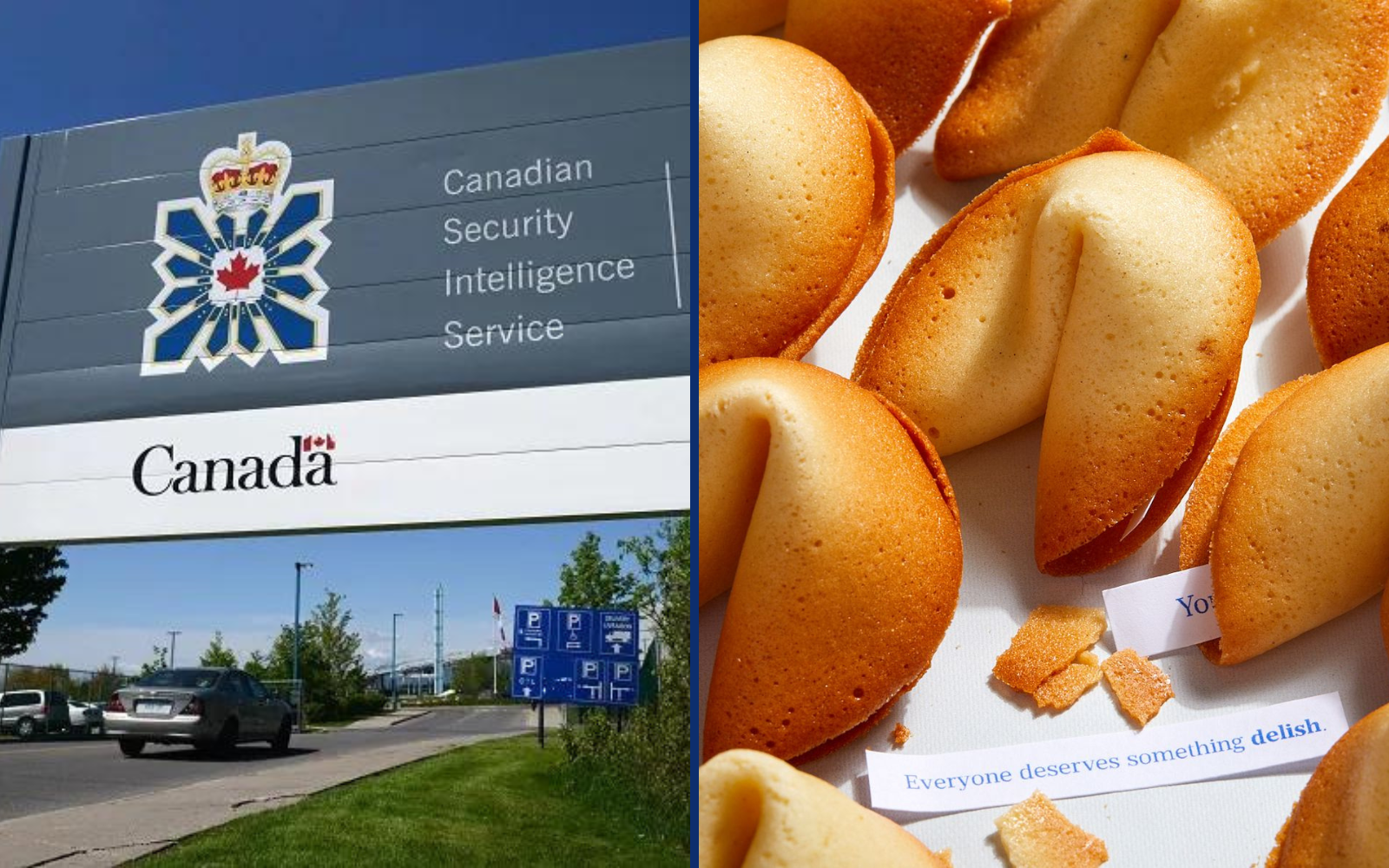 CSIS Determines Chinese Government Interfered With Thin, Beige Cookie Industry
