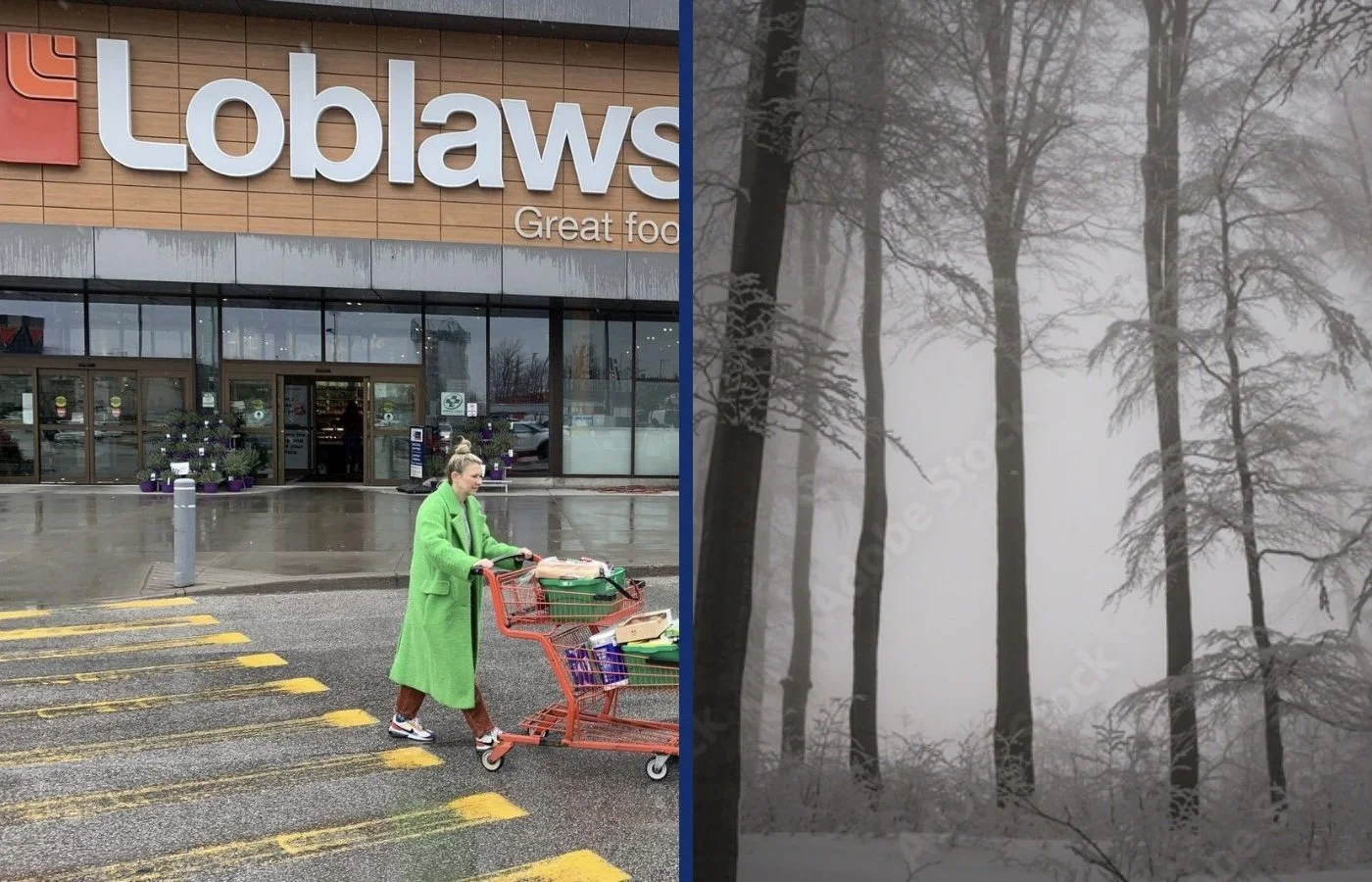 Loblaws Warns Of An Eternal Winter If Grocery Tycoons Are Held Accountable