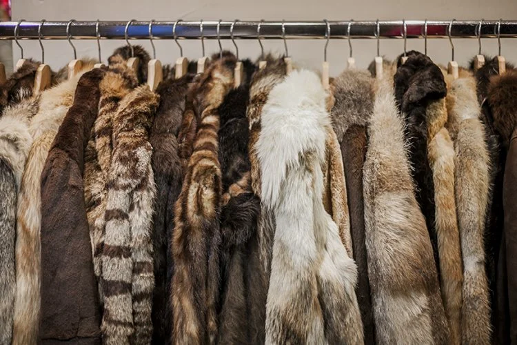 Queen Street Fur Store Celebrates First Customer In 20 Years