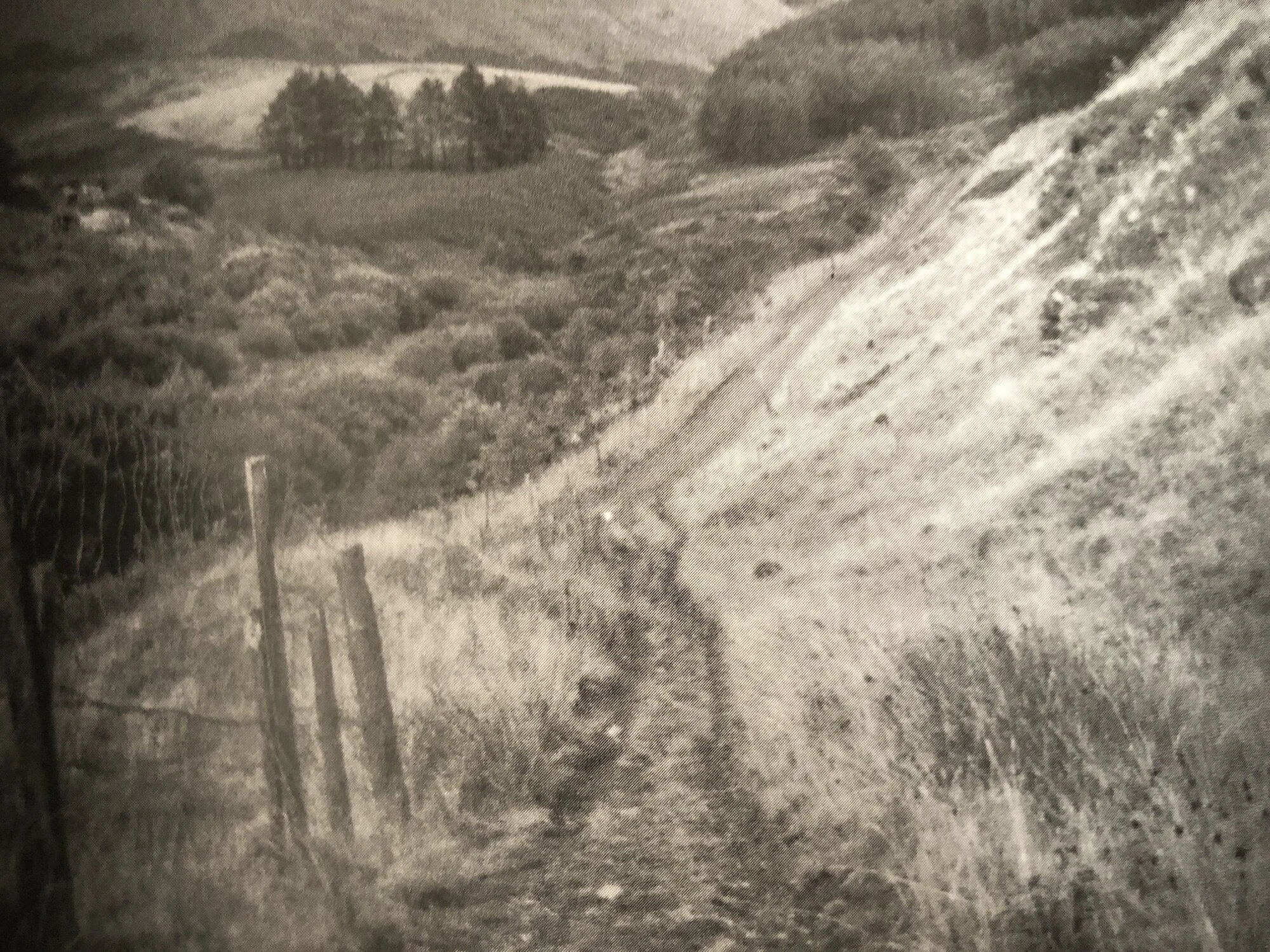 Adventures with the Littlest Holga