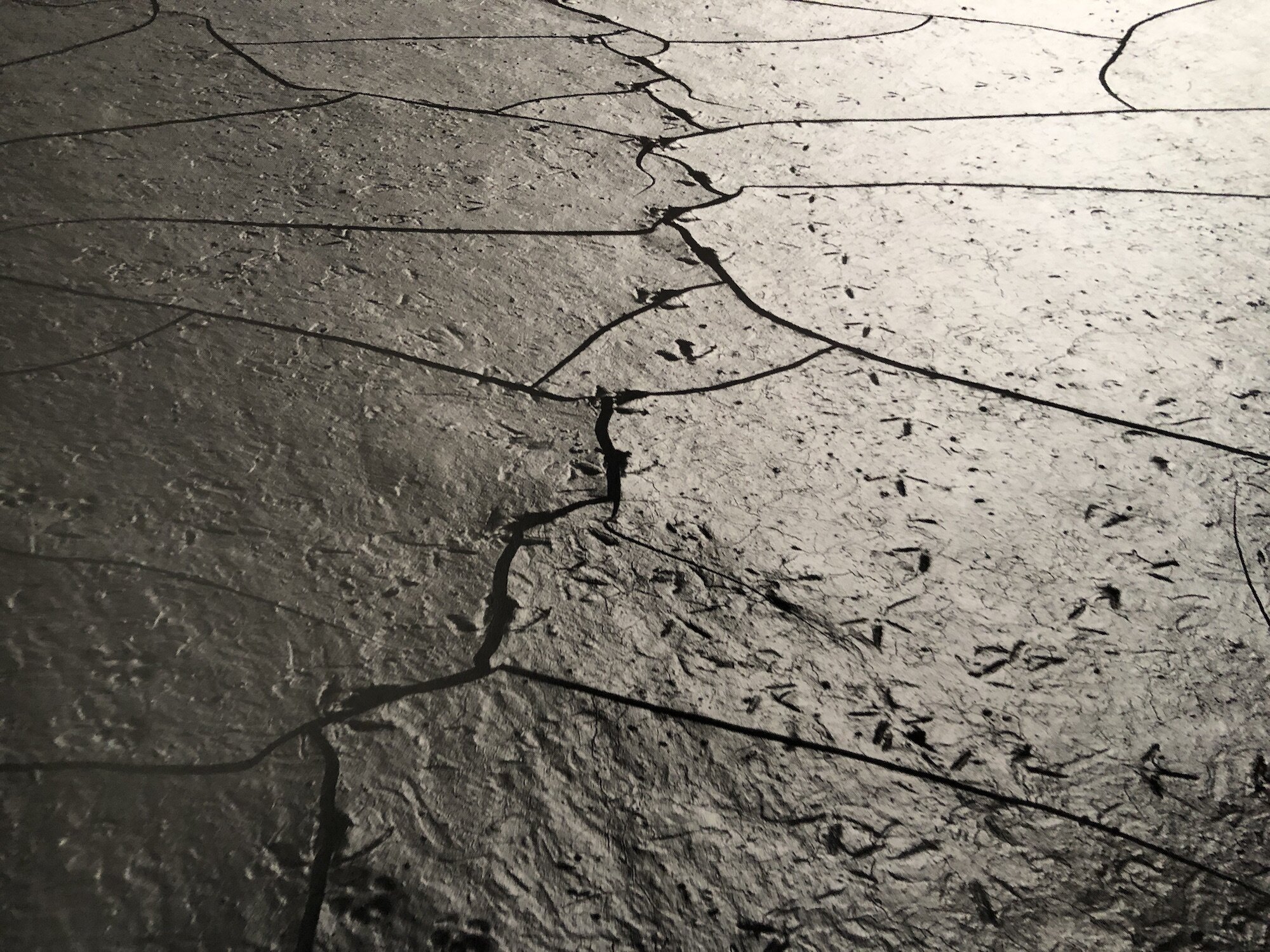 Mud | Sand