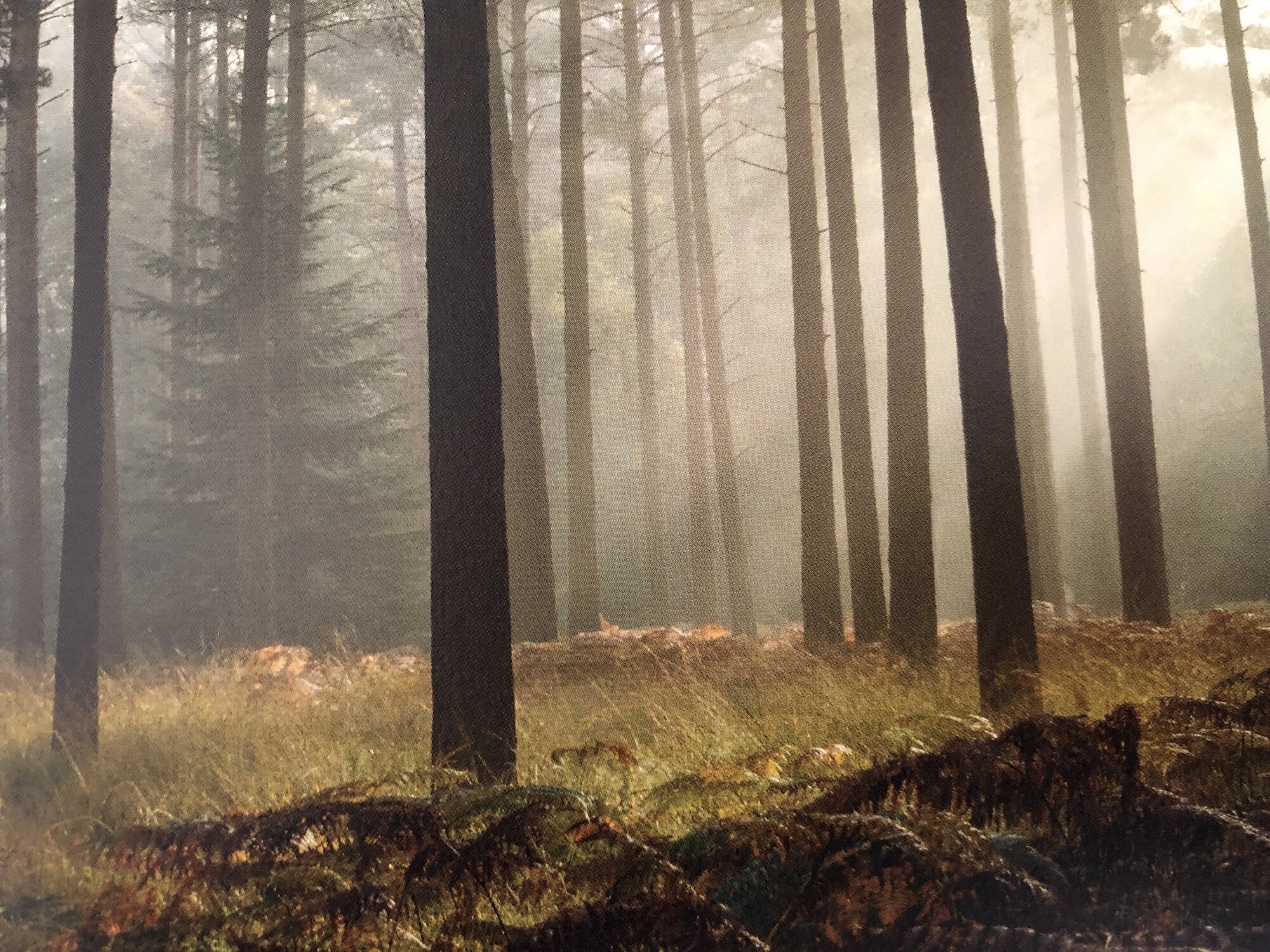 Waiting For Lighting