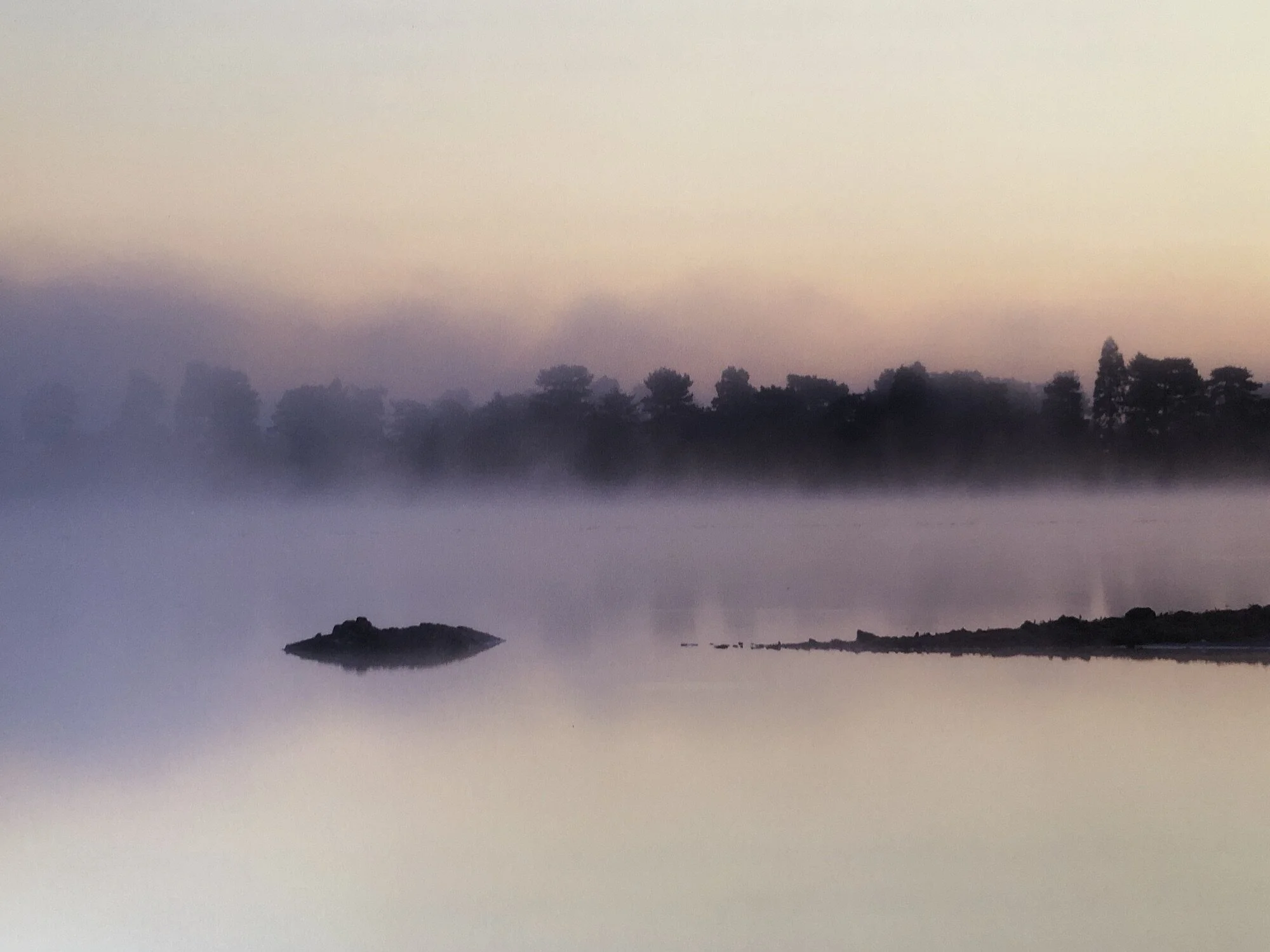 Scene from the Water's Edge