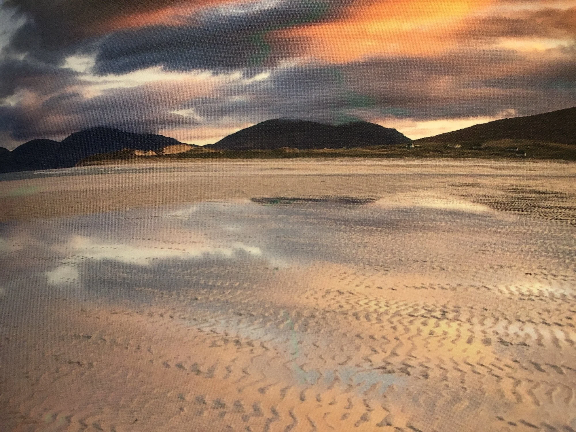 Harris in the Spring