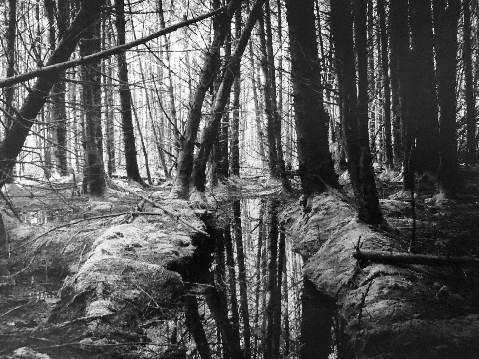 Into The Darkness