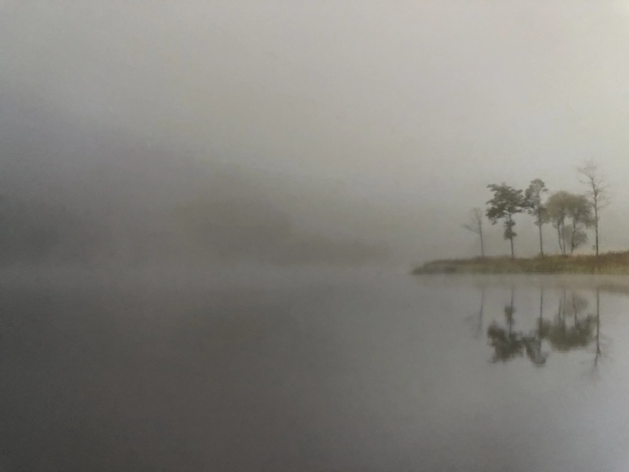 Scotland's Treescapes