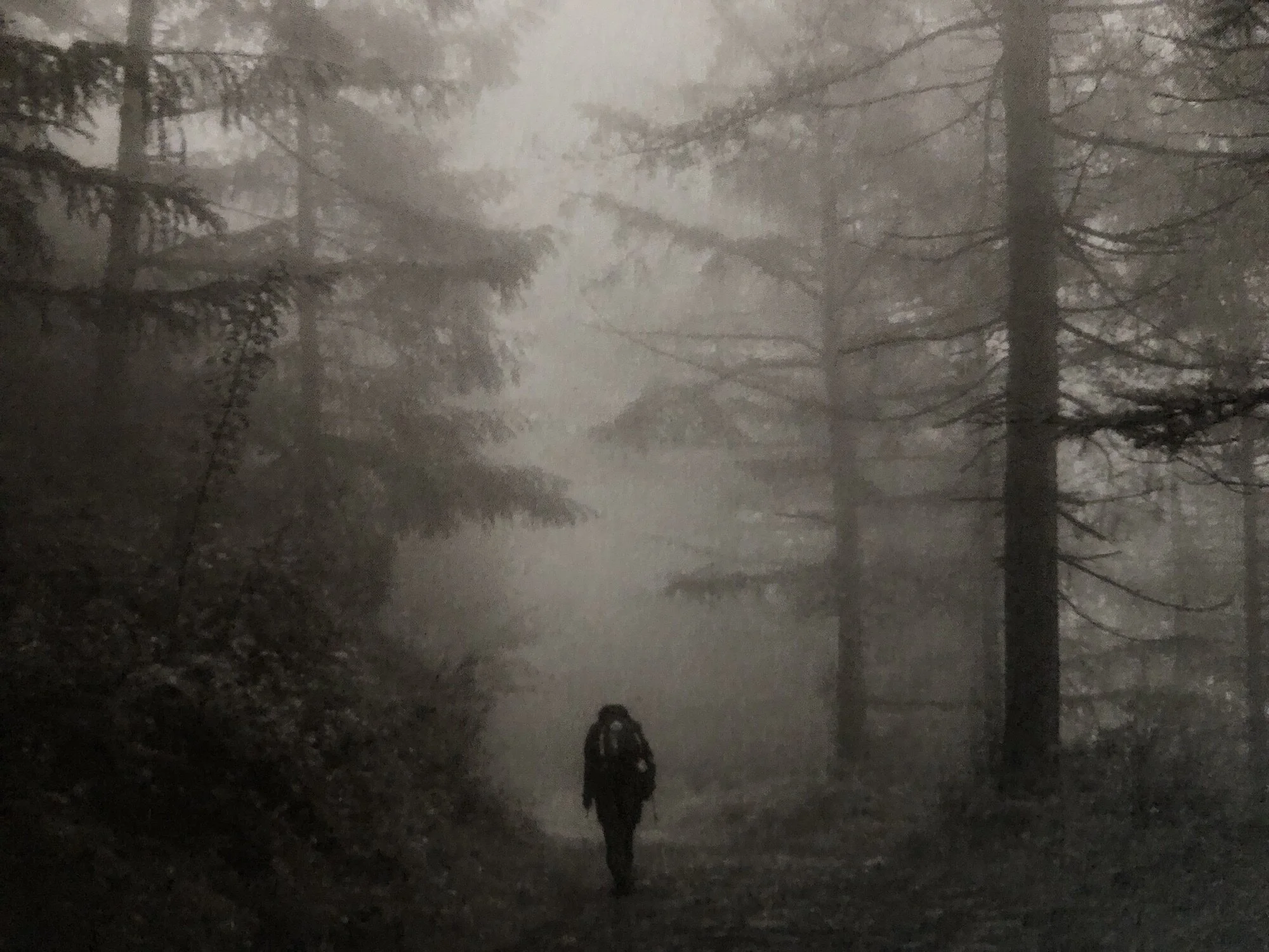 The Beauty of the Camino