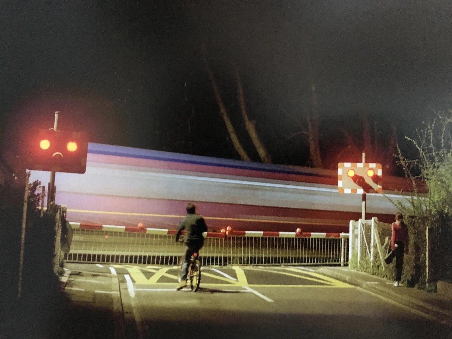 Biblioscapes In Discussion