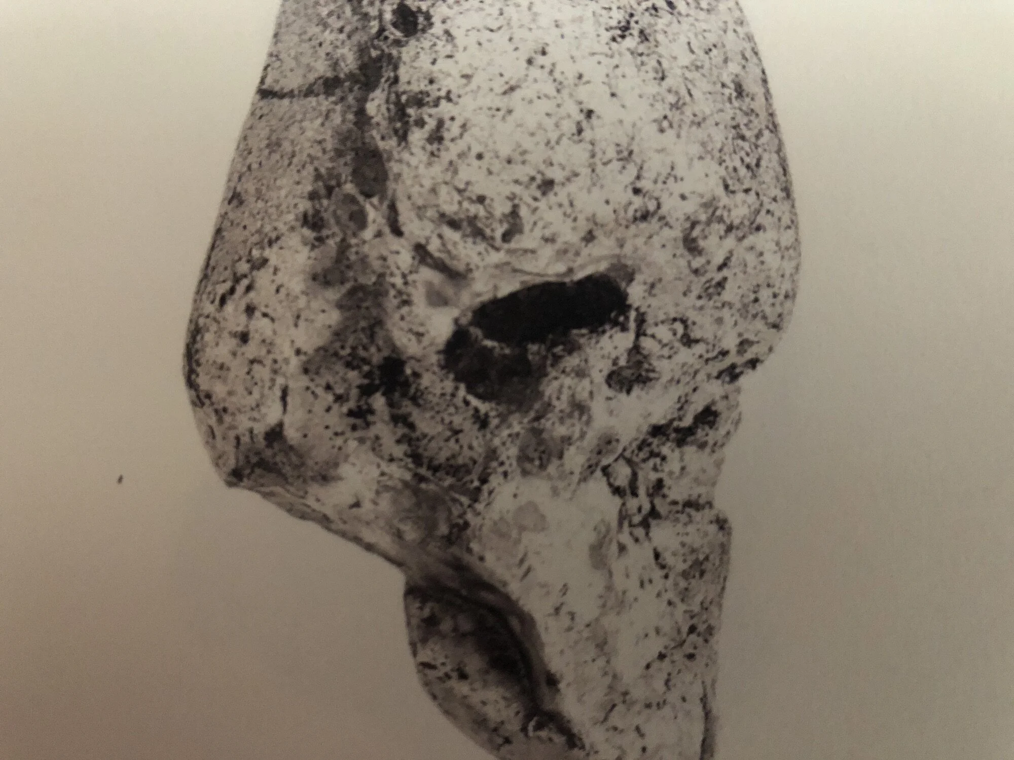 The Lost Ones - A Midwinter Edit