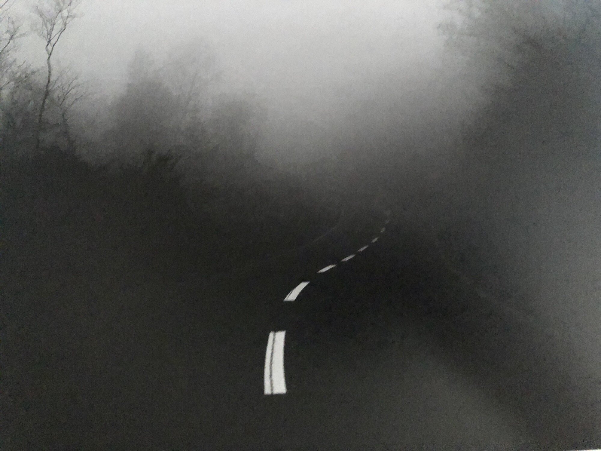 Reflections on Tsugaru