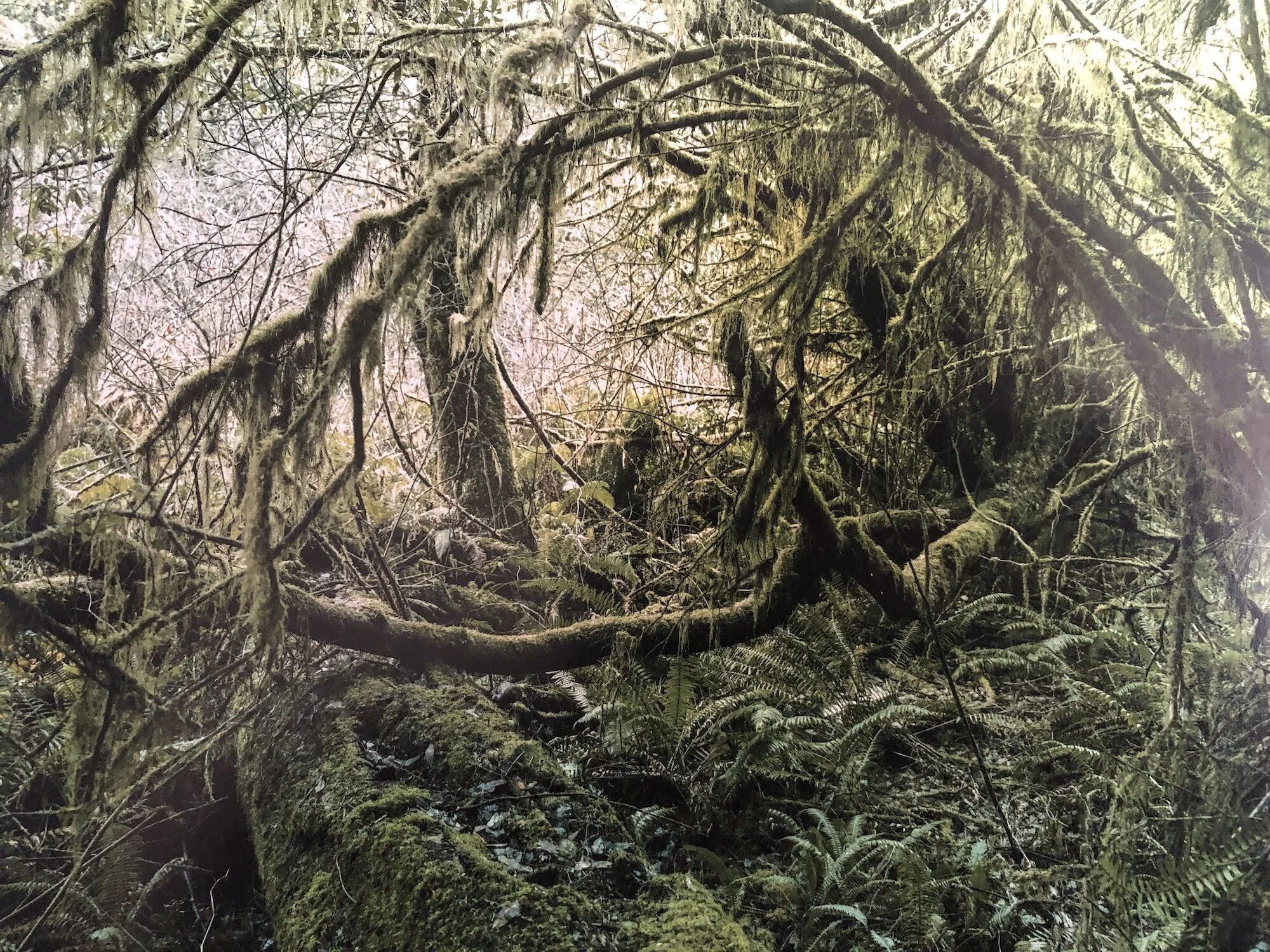 Reading the Landscape