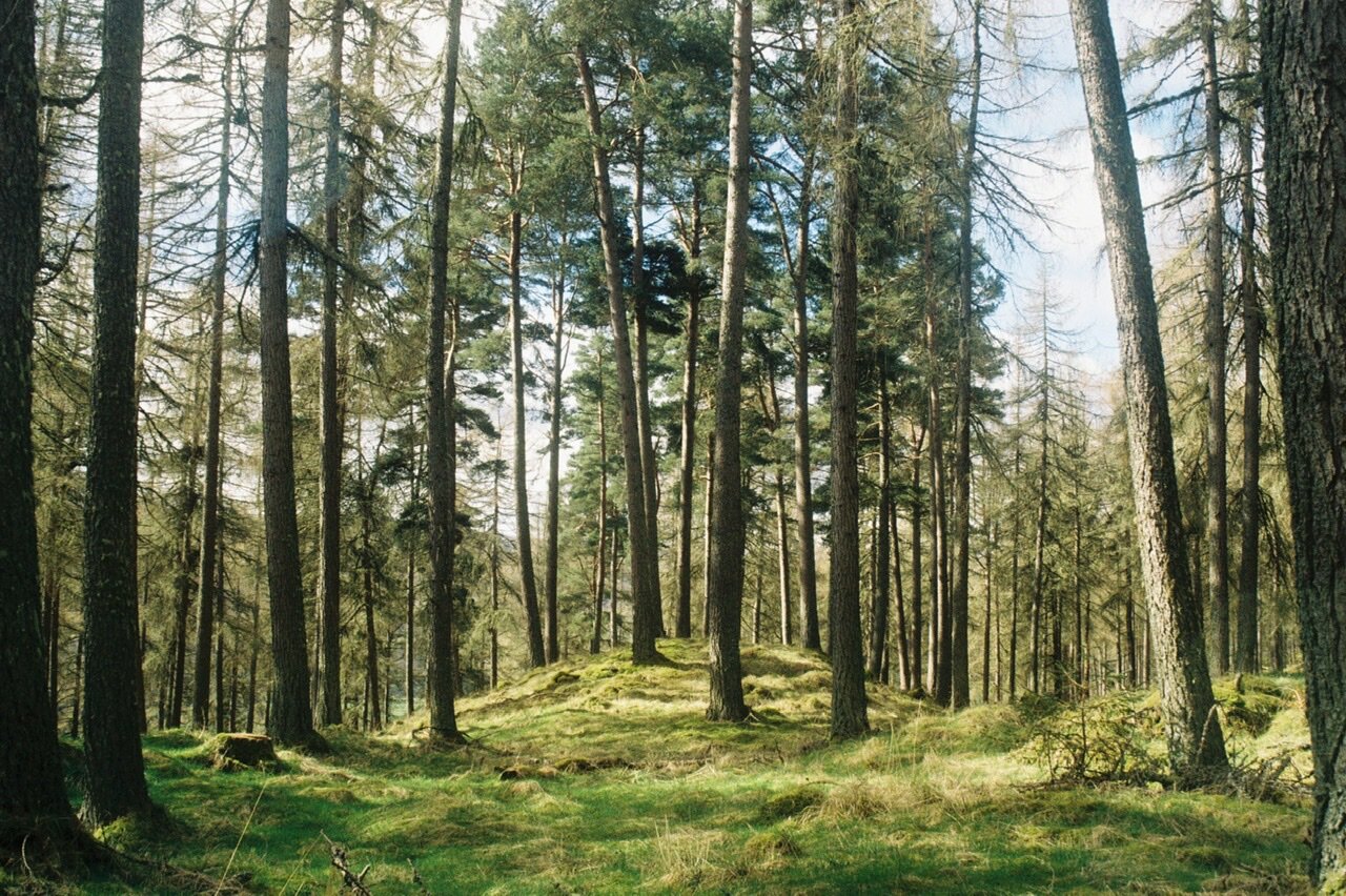 Biblioscapes In Discussion