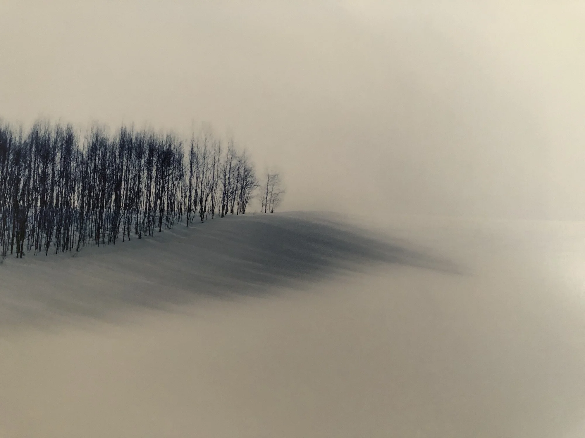 The Sound of Snow