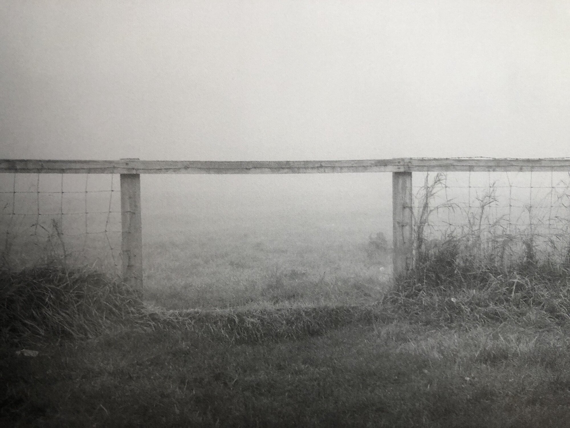 The Walk
