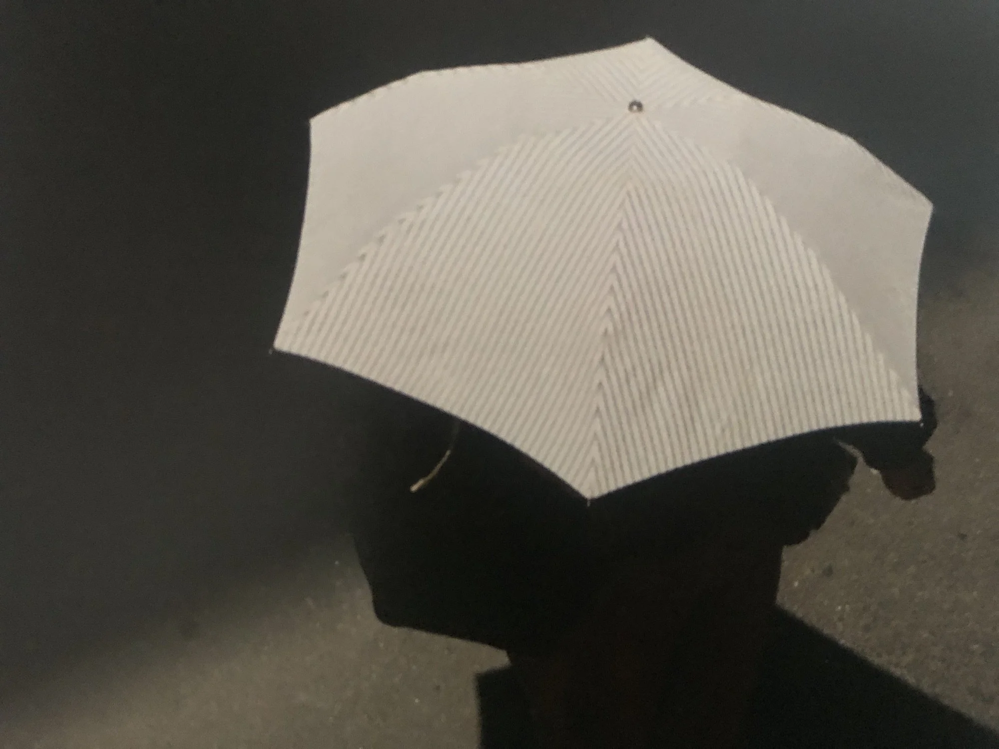 Uncovering Shibuya