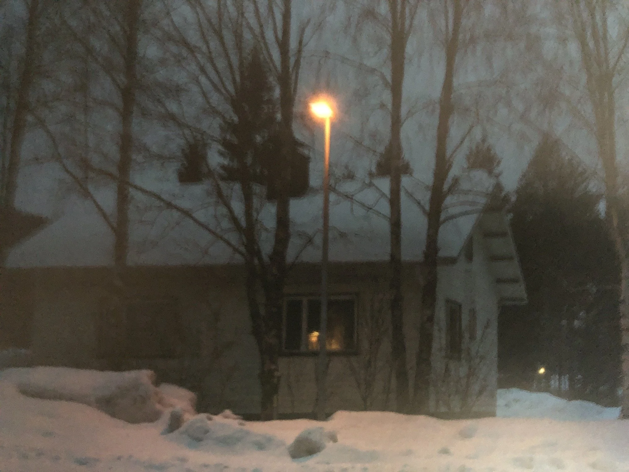 The Isolation Project