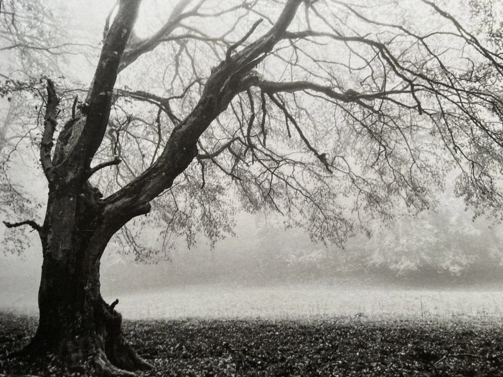 Silence
