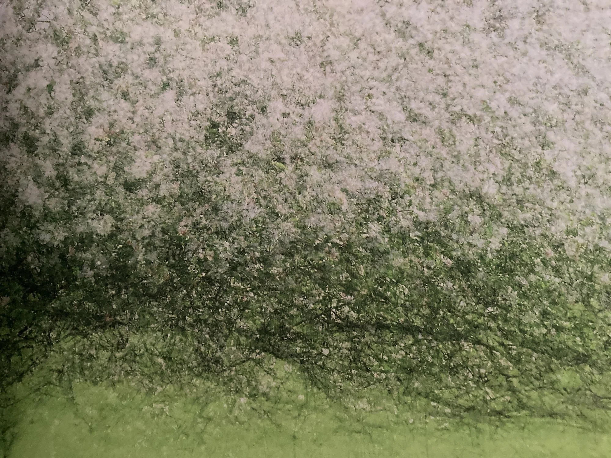 Rhythm of Nature