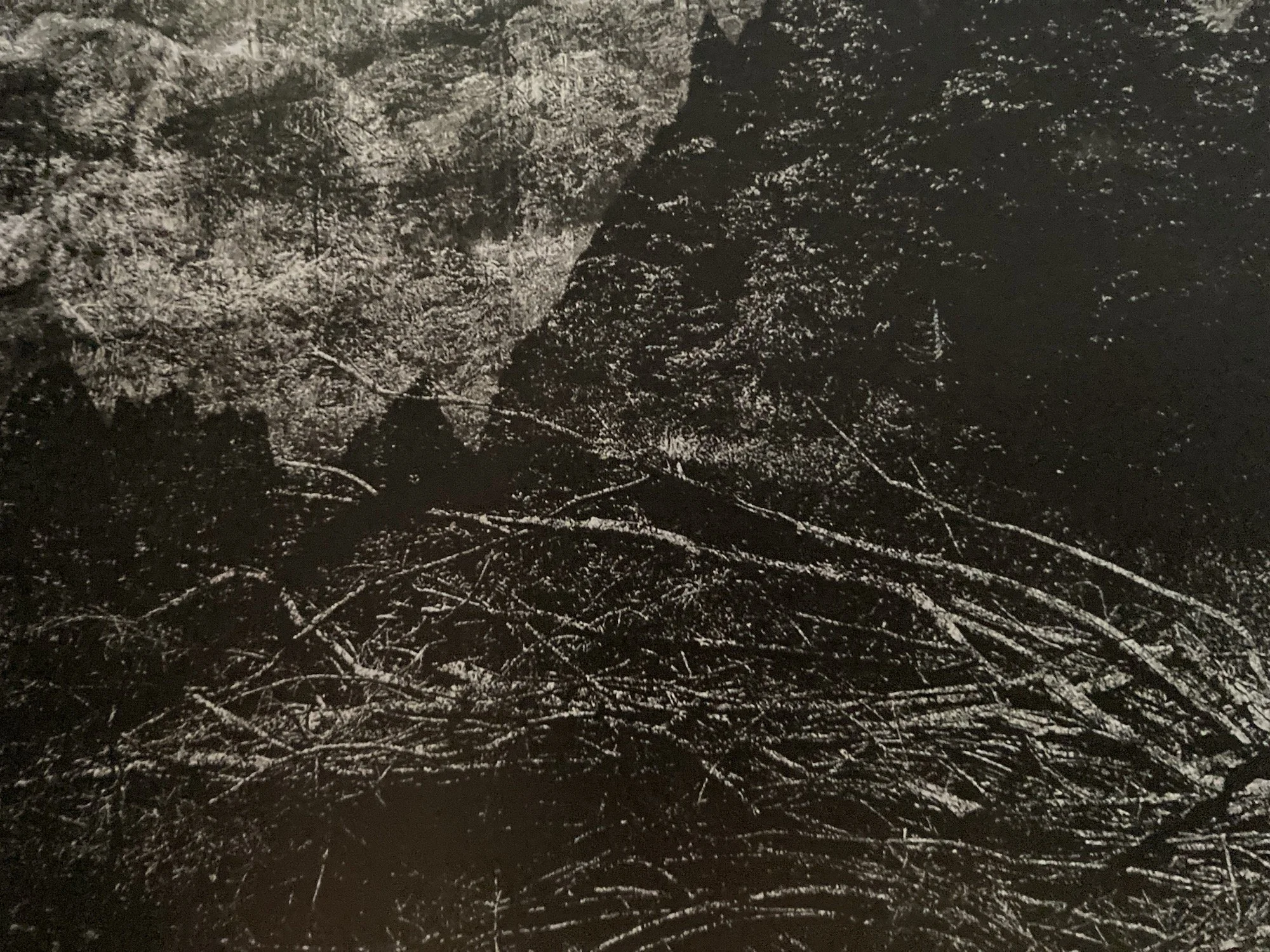 Dolomiti Dreamscapes