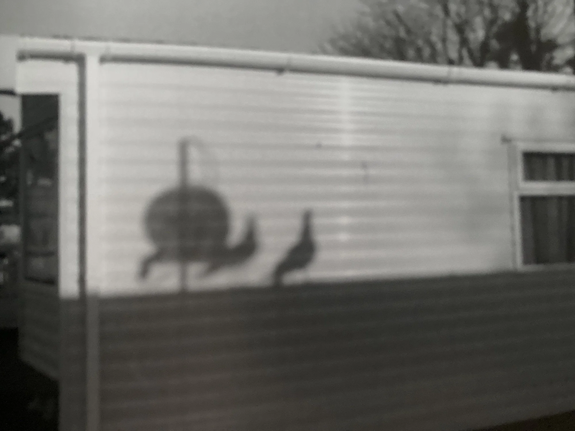 The Beautifully Mundane Cornwall