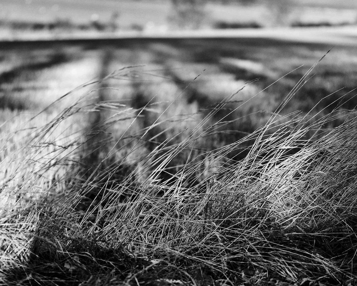 Biblioscapes In Discussion