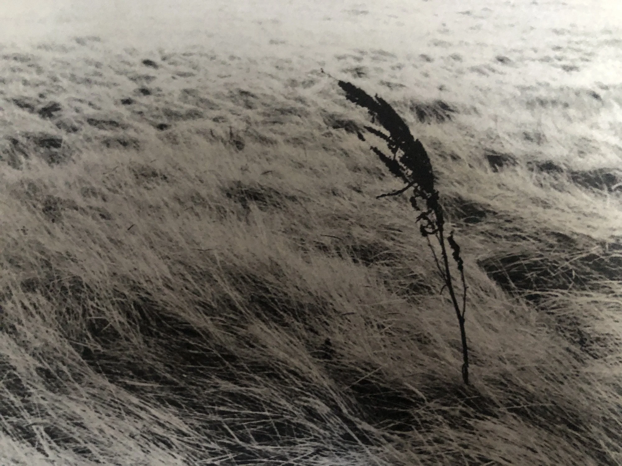 Analogical Limbo