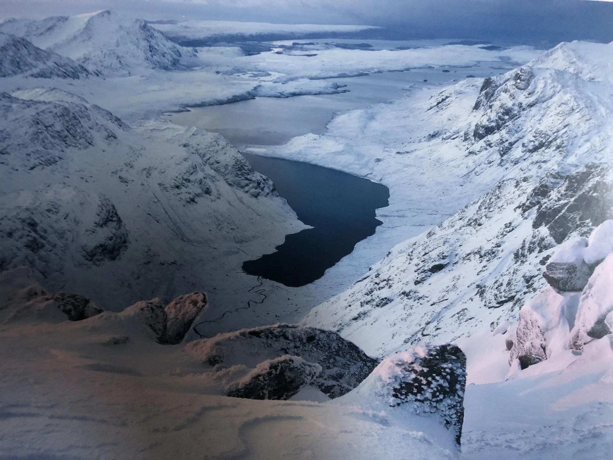 The Great Wilderness