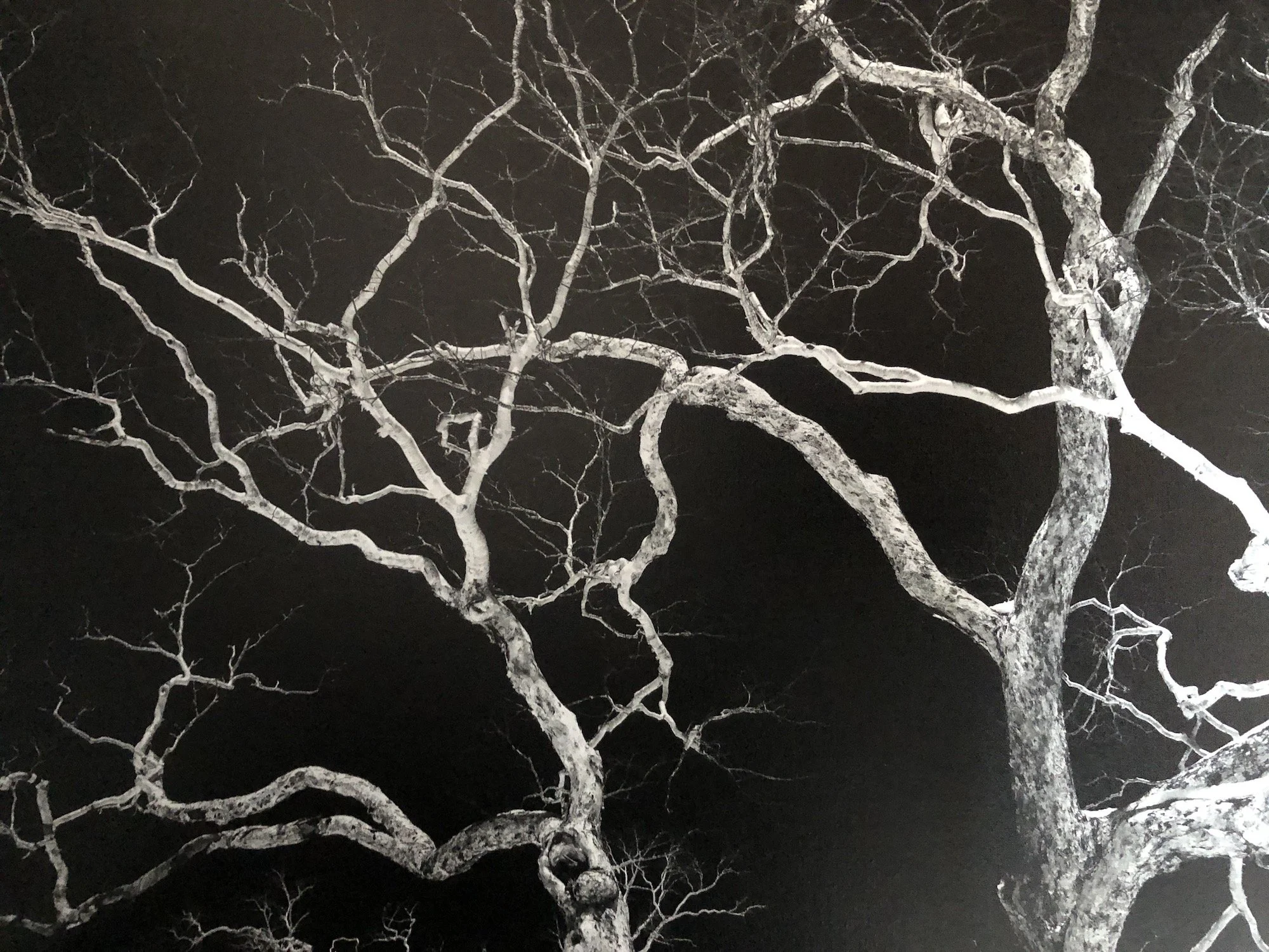 New Land - Pre-Hokkaido Landscapes