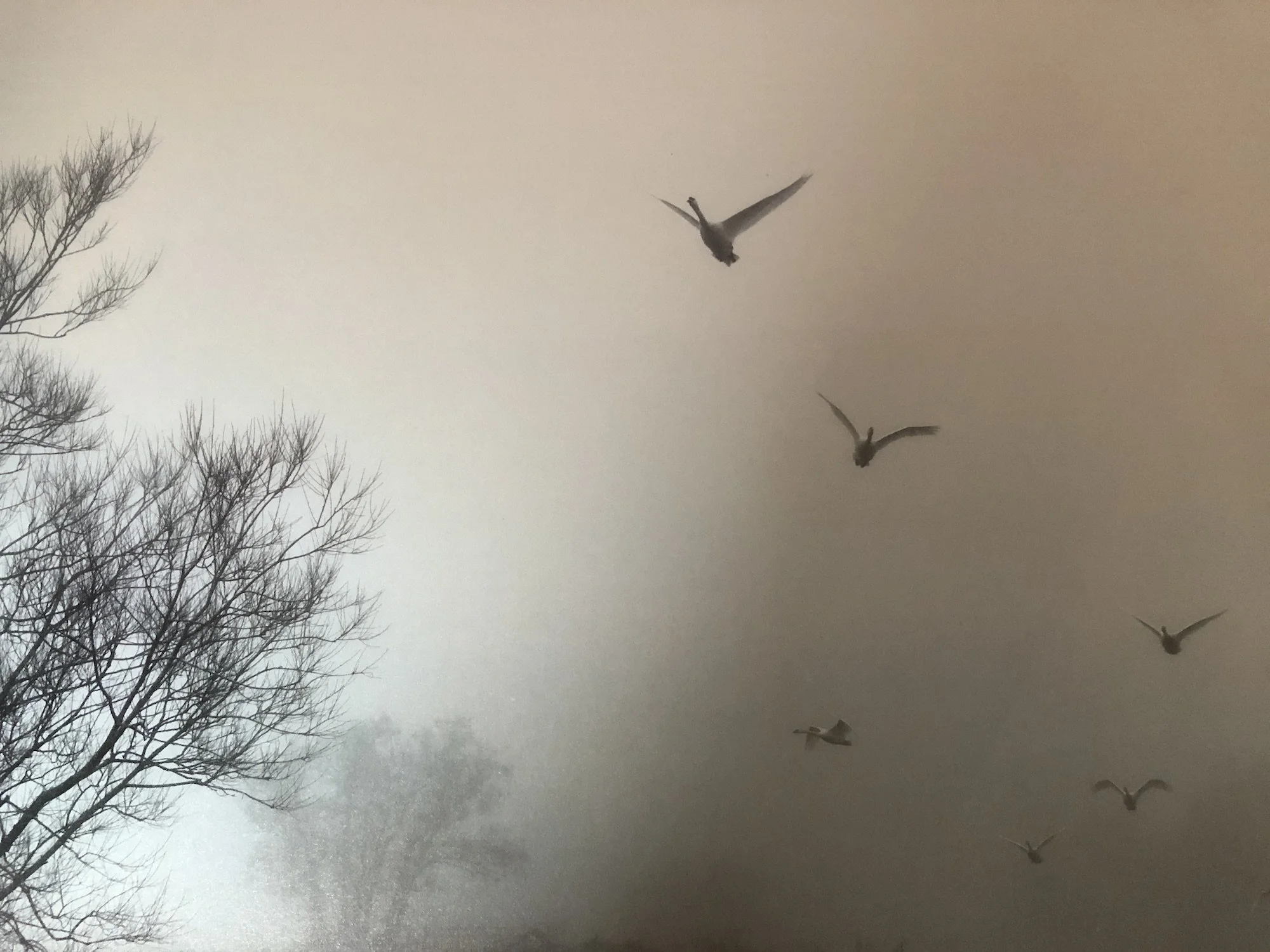 Four Winters