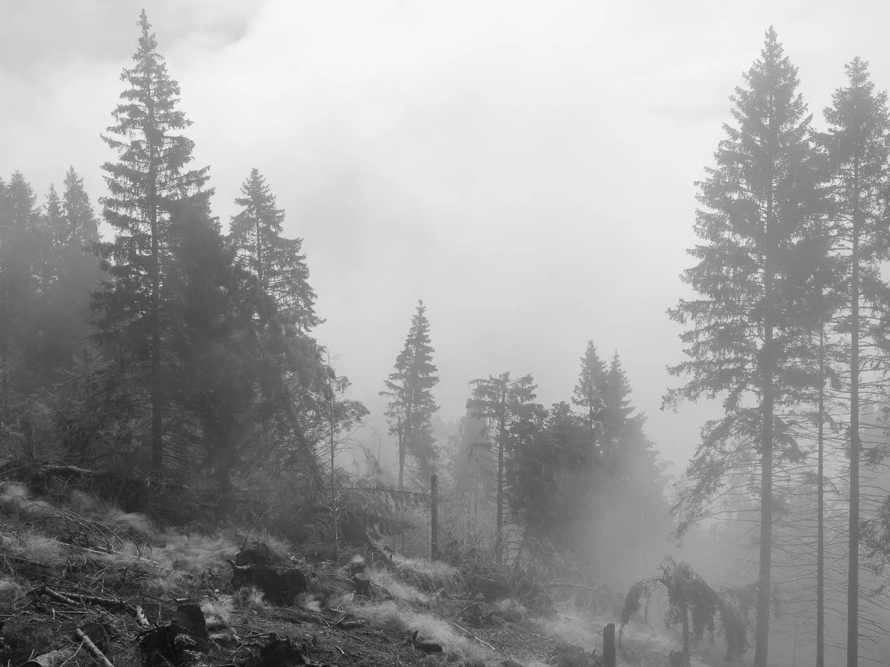 Biblioscapes In Discussion